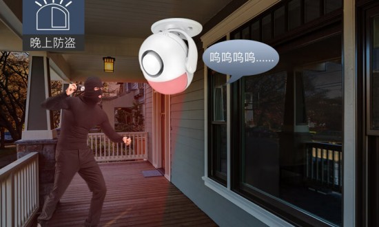 2024年中國人體感應(yīng)報警器行業(yè)的產(chǎn)業(yè)鏈上下游結(jié)構(gòu)及重點企業(yè)