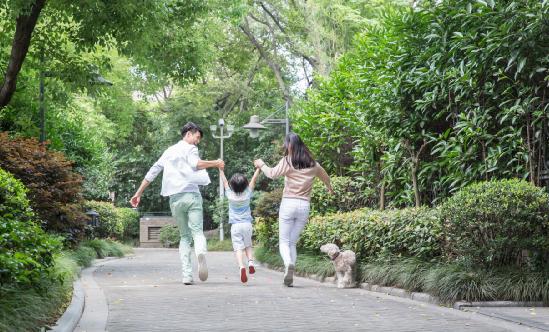 2024年生長激素行業市場現狀及競爭分析 一季度金賽藥業生長激素產品收入保持增長