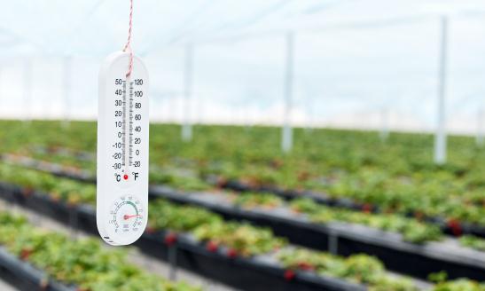 2024中國溫濕度記錄儀行業市場環境與投資趨勢分析