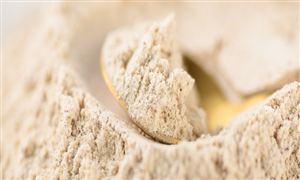 2024蛋白粉行業市場前景預測分析 到2025年將超過12億美金