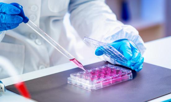 2024生命科學(xué)產(chǎn)業(yè)鏈上下游發(fā)展現(xiàn)狀及進(jìn)出口市場分析