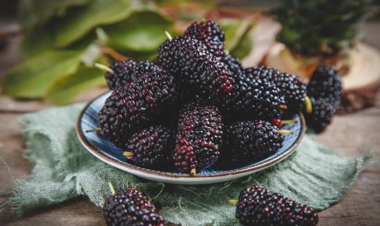 中國桑葚產(chǎn)業(yè)運行情況及重點區(qū)域分析