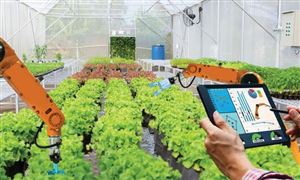 2024農業數字化行業市場全景調研與發展前景 數字化平臺糧巴巴完成A輪上億元融資