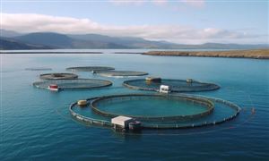 中國水產苗種培育行業分析：精準苗種是未來的發展趨勢