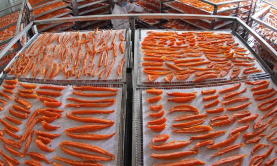 紅薯深加工產業發展環境分析與前景研究2024