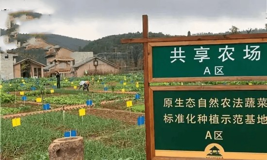 2024年共享農場行業產業鏈的上下游結構及發展趨勢