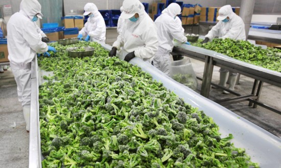 2024年蔬菜加工行業的市場發展現狀及發展趨勢分析