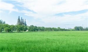 中國高標準農(nóng)田行業(yè)市場調(diào)查與發(fā)展前景分析