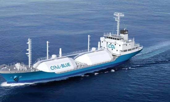 2024年中國CCUS?行業(yè)市場深度分析報(bào)告