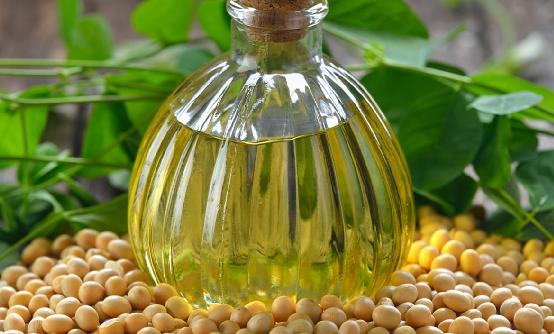 大豆加工行業發展調研2024