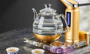 2024年智能茶爐器行業的市場發展現狀及投資潛力分析