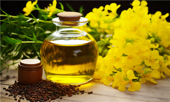 2024年低芥酸菜籽油行業(yè)市場發(fā)展現(xiàn)狀及未來發(fā)展前景分析