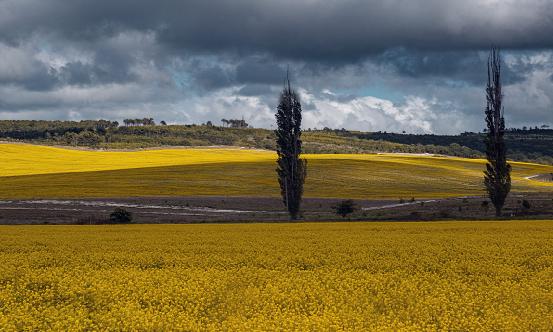 2024年氣象信息化產業現狀及未來發展趨勢分析報告