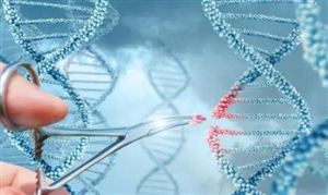 基因行業發展趨勢及投資前景分析報告 世界首例豬到人的臨床輔助異種肝移植手術成功完成