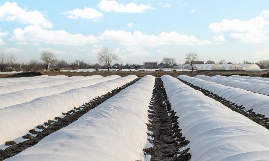 2024年中國高性能膜材料行業現狀、市場規模與未來發展前景分析