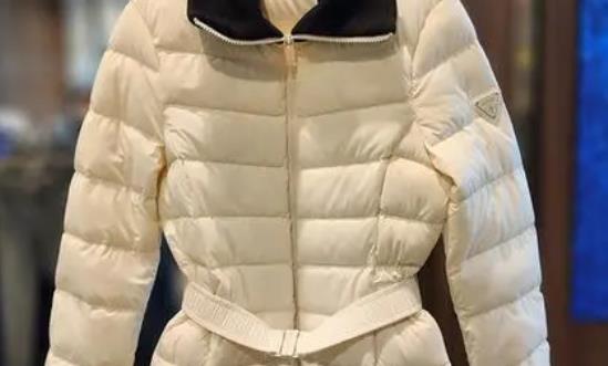 2024羽絨服產業市場需求趨向與產業鏈分析：大型防寒服單價持續上升