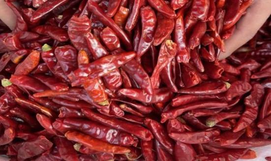 辣椒種植行業市場現狀及辣椒種植成本利潤分析