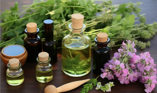 中國天然植物精油行業(yè)供需分析及競爭分析2024