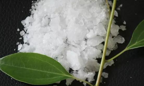 2024天然冰片行業發展現狀及市場規模分析