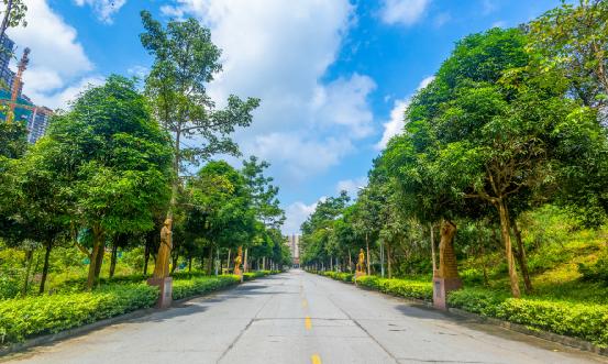 社區衛生信息化行業報告 社區衛生信息化行業產業鏈全景分析