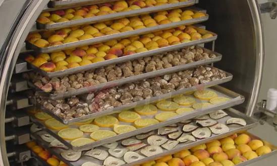 食品凍干機行業(yè)投資分析：預計到2029年將達到1023.46億元