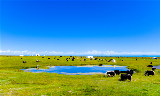 2024年中國海洋牧場市場驅動因素、海洋牧場主要細分市場及行業未來發展投資前景趨勢