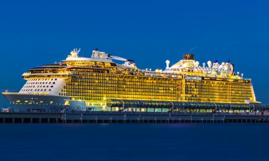 2024中國郵輪旅游行業(yè)市場分析及發(fā)展前景展望