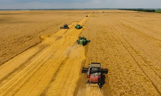 全國冬小麥收獲進度過半 小麥行業(yè)市場現(xiàn)狀及前景趨勢分析
