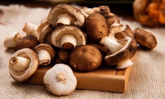 2024蘑菇行業市場發展現狀及供需格局分析