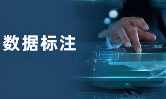 2024年中國數據標注行業的產業鏈上下游結構及投資風險分析