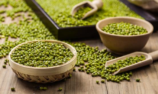 綠豆行業(yè)現(xiàn)狀及市場前景分析2024