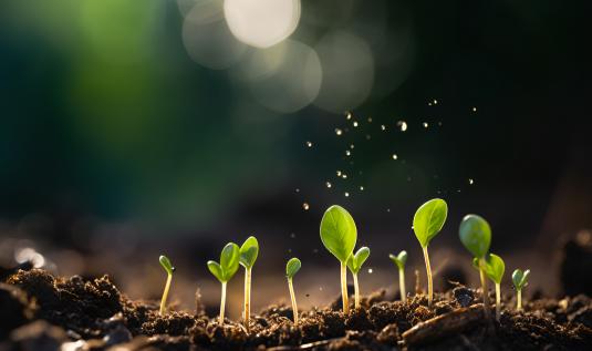 中國土壤修復產業鏈分析及政策解讀