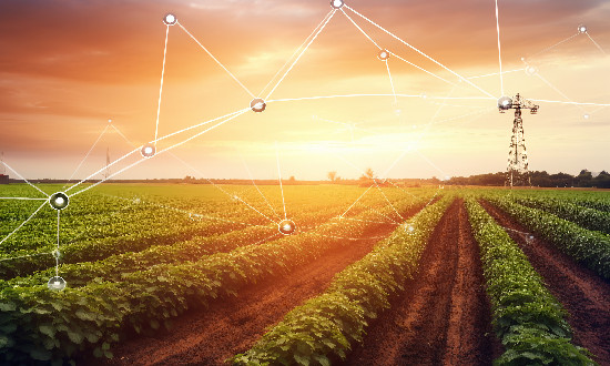 2024年農業(yè)物聯(lián)網行業(yè)市場發(fā)展現(xiàn)狀及未來發(fā)展前景趨勢分析