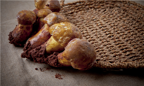 2024年松茸行業市場發展現狀及未來發展前景趨勢分析