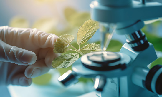 2025年生物育種行業(yè)趨勢及市場前景研究分析