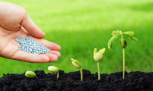 2025年車用尿素行業市場分析及發展前景預測