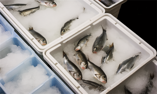 2025年中國冷凍水產(chǎn)品行業(yè)市場深度調(diào)研