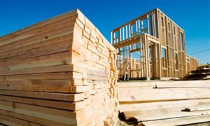 木材加工行業(yè)競爭格局分析與未來發(fā)展前景趨勢(shì)預(yù)測，綠色轉(zhuǎn)型中的機(jī)遇與挑戰(zhàn)