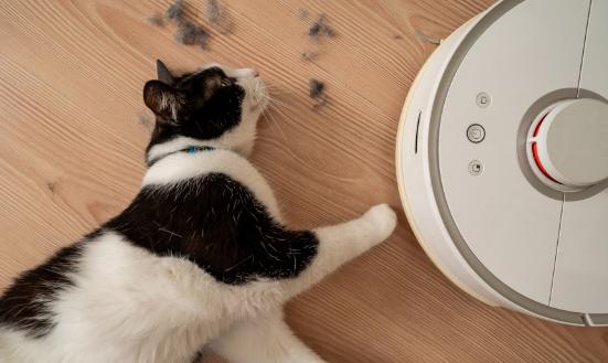 2025年中國智能家電行業：技術重構生態，場景定義未來