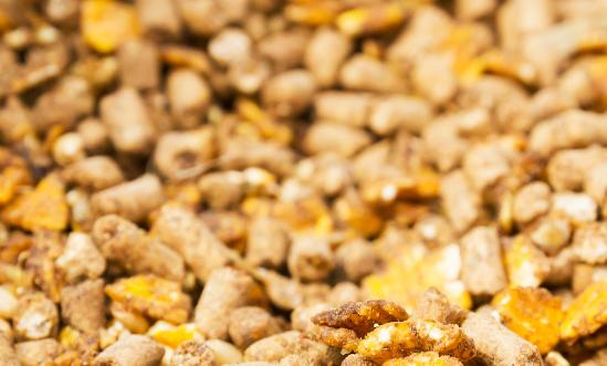 禽飼料行業現狀洞察與趨勢研判